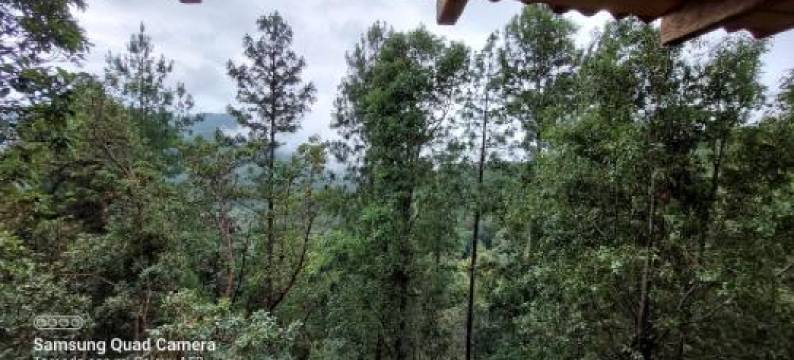 Cabaña en El Bosque de San José del Pacífico图片