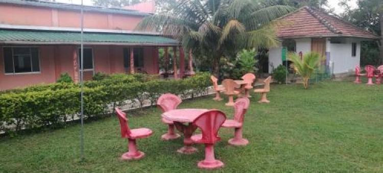 Friends Paradise图片