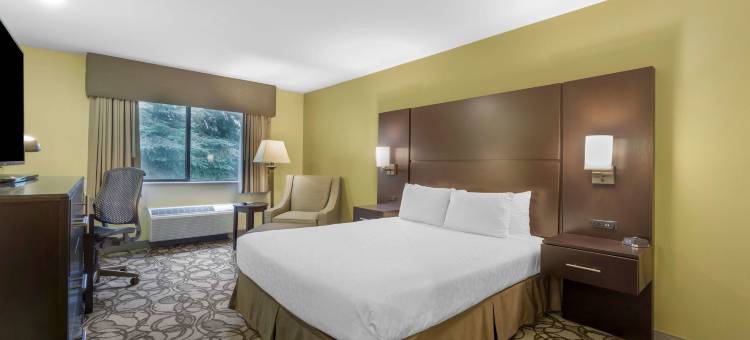 格林广场贝斯特韦斯特优质酒店(Best Western Plus Plaza by the Green)图片