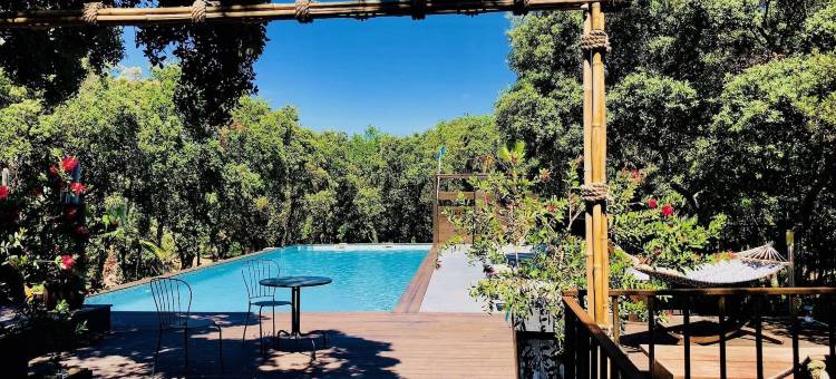 蒙彼利埃东部迪西尼温泉餐厅酒店, The Originals Relais(Hotel Restaurant Spa Disini Montpellier Est, The Originals Relais)图片