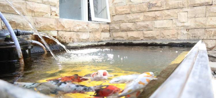 别墅(Villa All New Casa Grande by Masterpiece Villa)图片