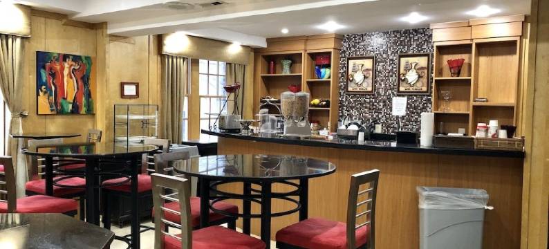 埃尔登豪华套房酒店(The Eldon Luxury Suites)图片