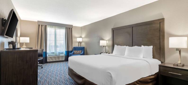 舒适套房酒店-近医疗中心(Comfort Inn & Suites Near Medical Center)图片