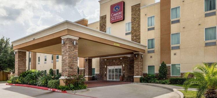 卡蒂舒适套房酒店(Comfort Suites at Katy Mills)图片