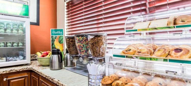 莫罗亚特兰大南凯艺套房酒店(Quality Inn & Suites Morrow Atlanta South)图片