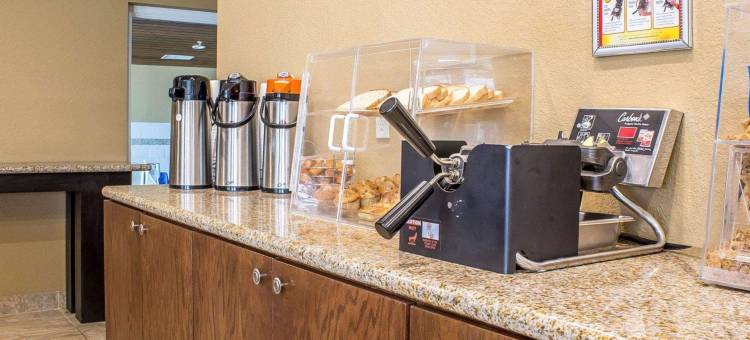 欧克博奇套房罗德威旅馆(Rodeway Inn & Suites Near Okoboji Lake)图片