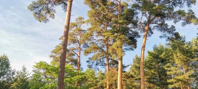 长白山北坡兰舍民宿图片