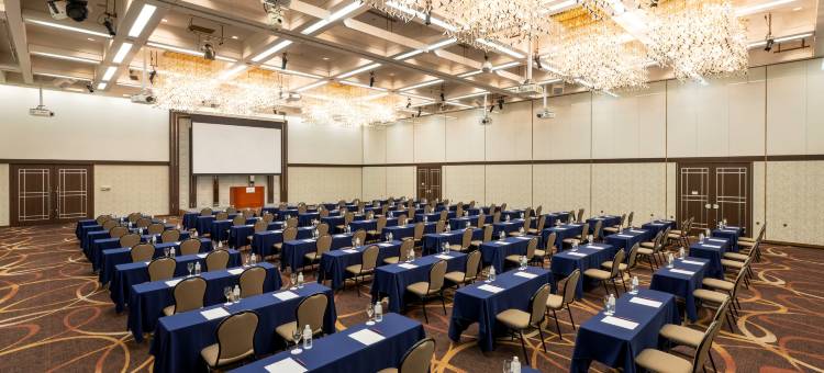 ANA Crowne Plaza 秋田全日空皇冠假日酒店(ANA Crowne Plaza Akita)图片