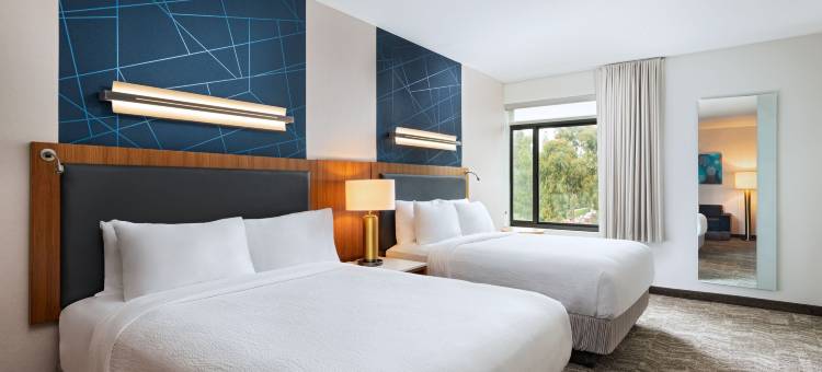 阿纳海姆主入口SpringHill Suites酒店(SpringHill Suites Anaheim Maingate)图片