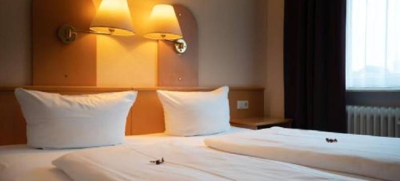 辛斯海姆尊普林泽恩酒店(Hotel Zum Prinzen Sinsheim)图片