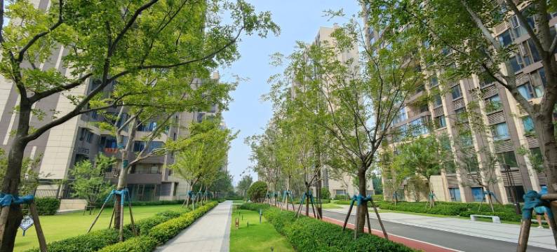 甜小姐的民宿(只有河南戏剧幻城)图片