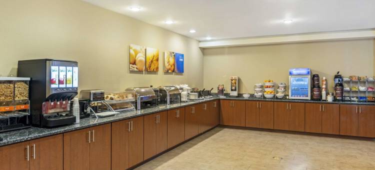 舒适套房酒店-维吉尼亚购物中心(Comfort Suites at Virginia Center Commons)图片