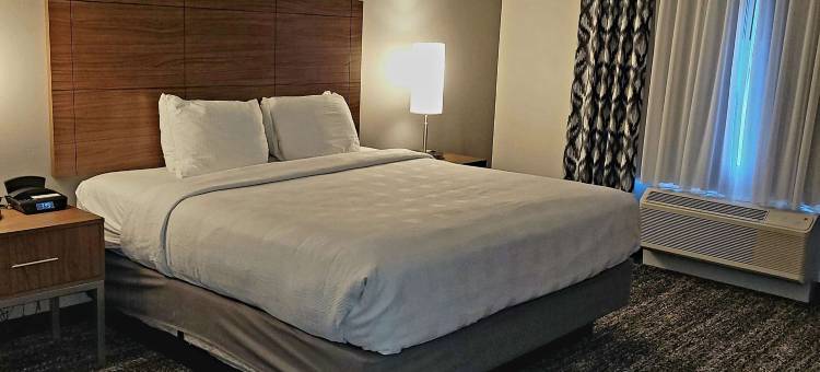 贝斯特韦斯特优质沙漠景观优质套房酒店(Best Western Plus Desert View Inn  Suites)图片