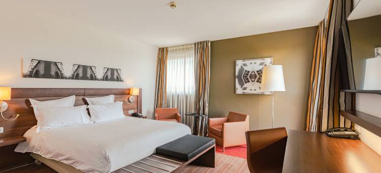 Holiday Inn 米卢斯(Holiday Inn Mulhouse)图片