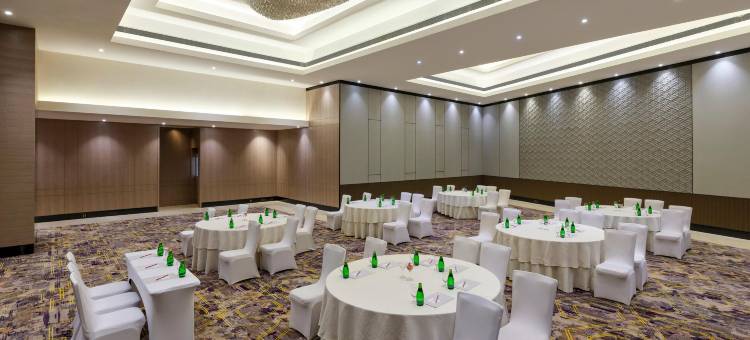 Crowne Plaza 艾哈迈达巴德市中心(Crowne Plaza AHMEDABAD CITY CENTRE by IHG)图片