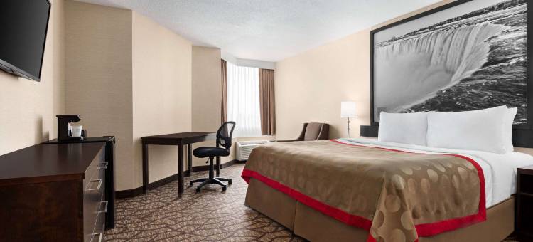 尼亚加拉瀑布附近华美达酒店(Ramada by Wyndham Niagara Falls Near the Falls)图片