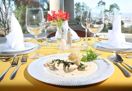 Villa San Jose Hotel & Suites Hotel Overview