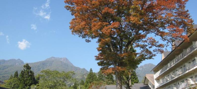 赤仓酒店(Akakura Hotel)图片