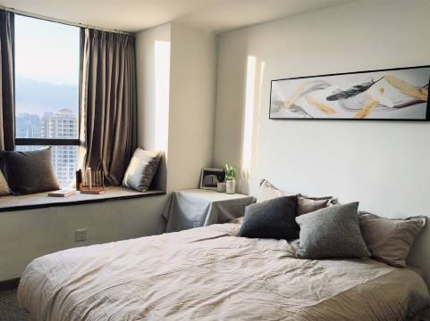 sssssss公寓(广州大道南分店)