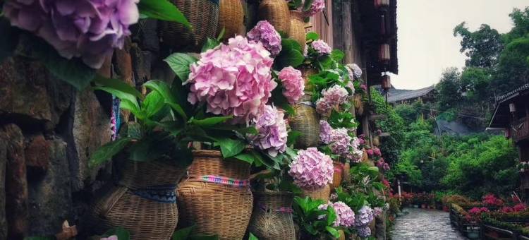侗乡秘境民宿(芋头村分店)图片