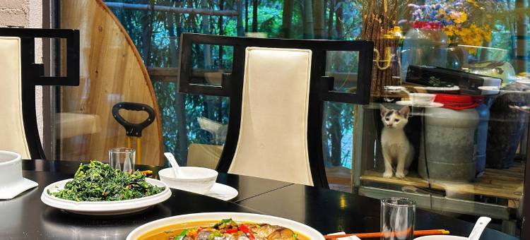 天目山金猫坞家庭农场特色民宿(横昌线分店)图片