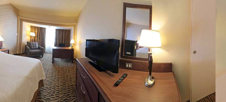 Holiday Inn 蒙特雷NORTE(Holiday Inn Monterrey Norte)图片