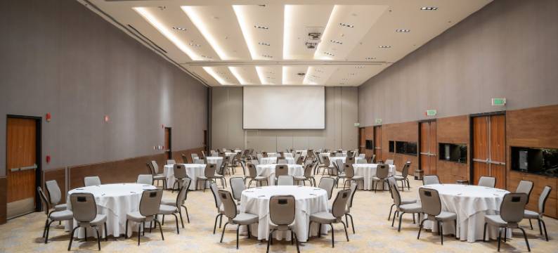 美洲嘉年华威雅杜克机场酒店(Fiesta Americana Viaducto Aeropuerto)图片