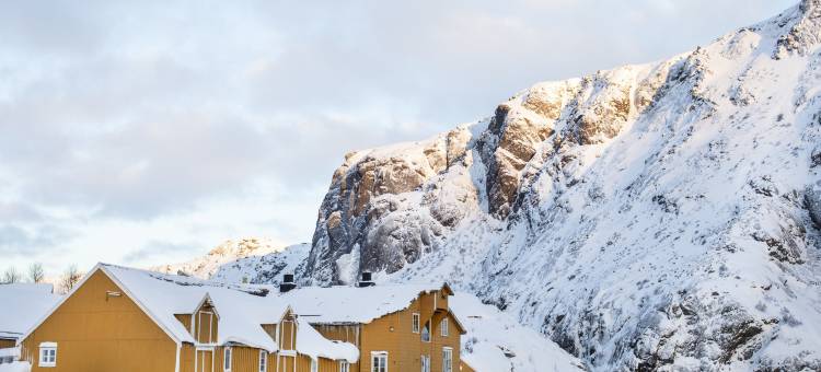努斯峡湾村度假村(Nusfjord Village & Resort)图片