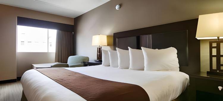 Quality Inn & Suites图片