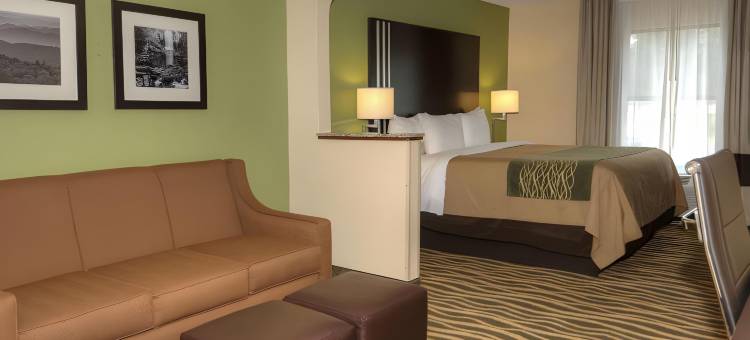 舒适酒店(Comfort Inn Near Downtown & Blue Ridge Pkwy)图片