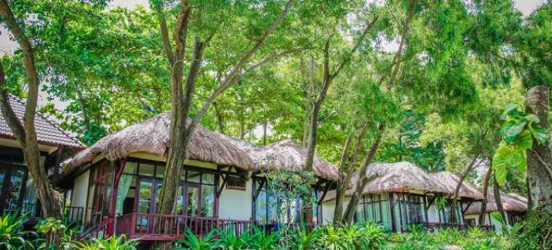 阿卡迪亚富国岛度假村(Arcadia Phu Quoc Resort)图片