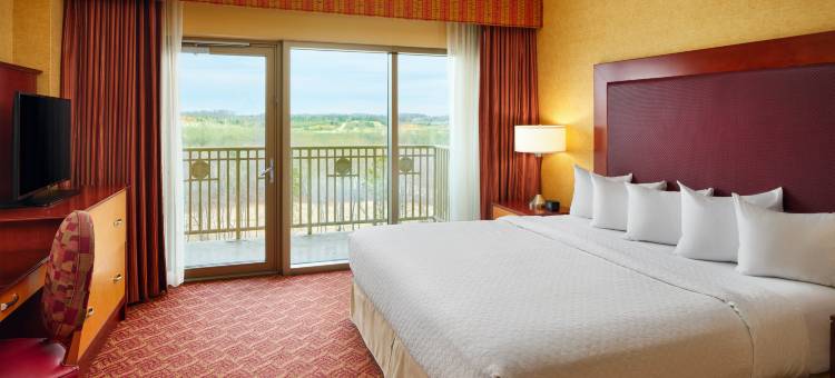 夏洛特康柯德高尔夫度假村及水疗中心希尔顿安泊酒店(Embassy Suites by Hilton Charlotte Concord Golf Resort & Spa)图片