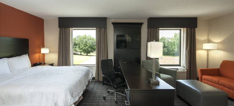 塞内卡-克莱姆森区欢朋酒店及套房(Hampton Inn & Suites Seneca-Clemson Area)图片
