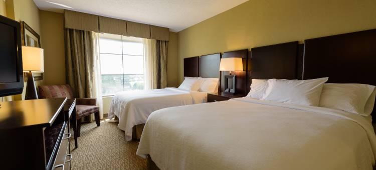 明尼阿波利斯北希尔顿安泊酒店(Embassy Suites by Hilton Minneapolis North)图片