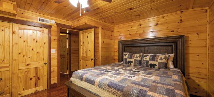 Charming Log Cabin Escape! 4 King beds, Min to Gatlinburg, Frequent bear visits!图片