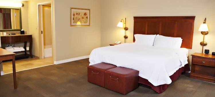 希尔顿欢朋酒店-马丁(Hampton Inn Martin)图片