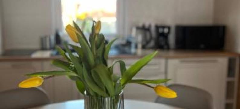 MikroKlimat Komfort图片