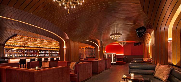 纽约市东村 Moxy 酒店(Moxy NYC East Village)图片
