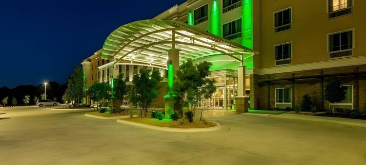 Holiday Inn 奥斯汀(Holiday Inn Austin Airport)图片