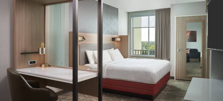 埃斯特罗迈尔斯堡万豪SpringHill Suites酒店(SpringHill Suites Fort Myers Estero)图片