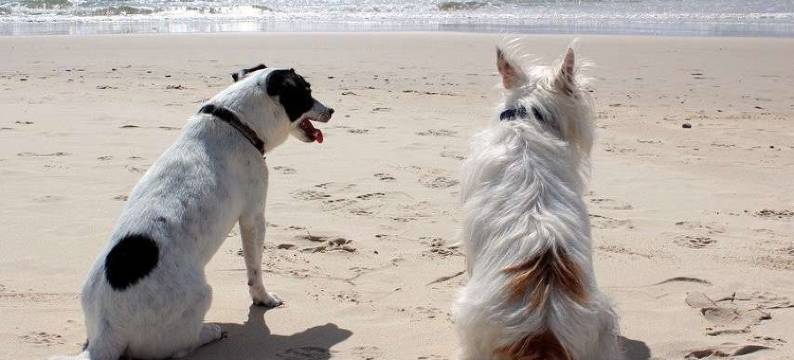 潮路之宿 丸源旅馆(Marugen)图片
