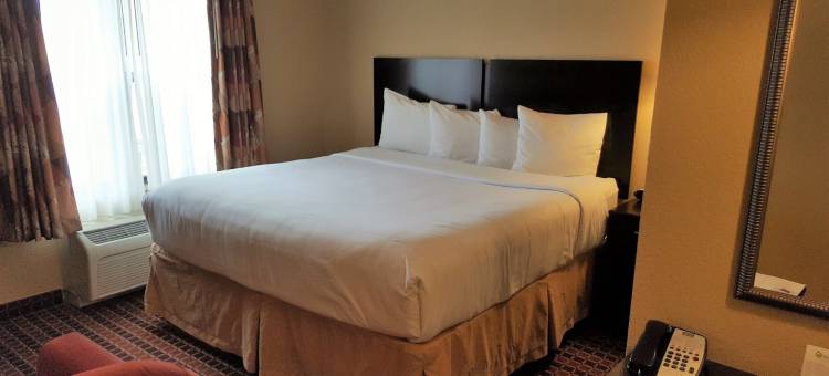 美国罗吉斯- 边顿维尔实惠套房(Affordable Suites of America Rogers - Bentonville)图片