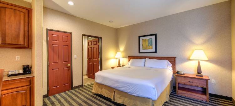 智选假日套房酒店曼特卡南 - 斯托克顿区(Holiday Inn Express & Suites Manteca City Center)图片