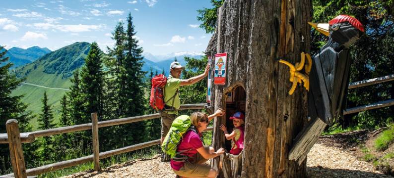 盖尔特恩罗斯恩豪弗克特兹海尔酒店(Gartenhotel Rosenhof Bei Kitzbühel)图片