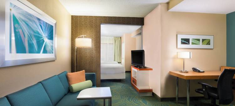南奥斯汀万豪SpringHill酒店(SpringHill Suites Austin South)图片