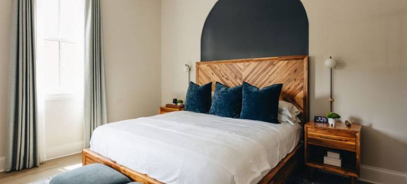 紫马丁(The Purple Martin - the Perch)图片