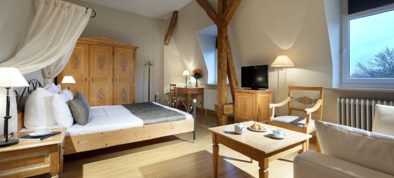 马克西米连欧洲之星公园酒店(Eurostars Park Hotel Maximilian)图片