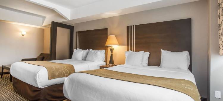 市中心舒适套房(Comfort Suites Downtown)图片