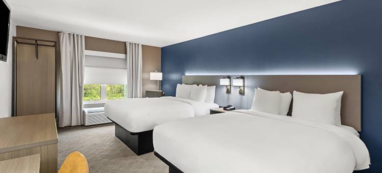 罗马南部舒适酒店及套房(Comfort Inn & Suites Rome South)图片