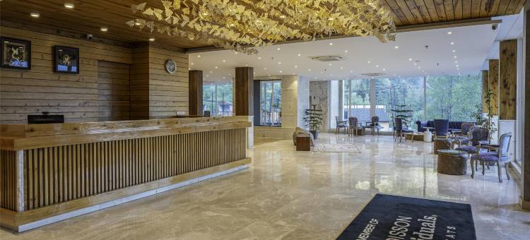 Palchan Hotel Amp; Spa, A Member of Radisson(Palchan Hotel and Spa, A Member of Radisson)图片